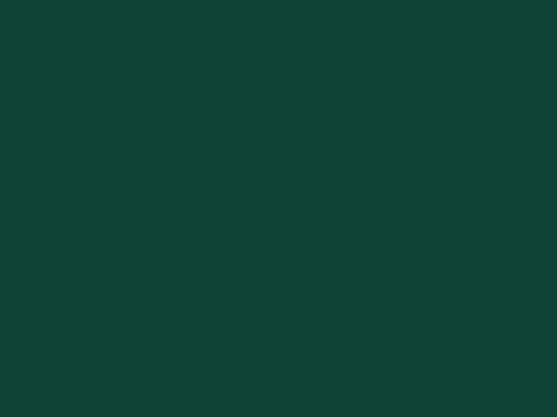 Зелёный мох (RAL 6005)