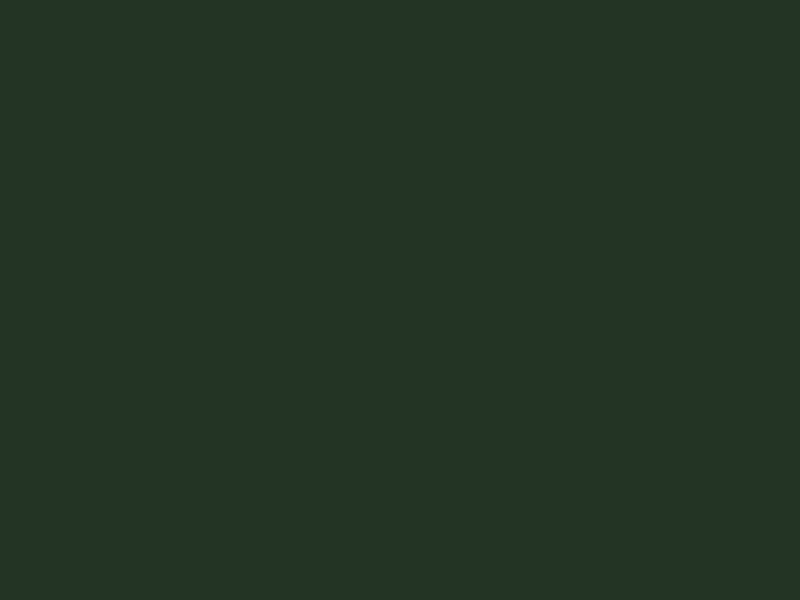 Хвойно-зеленый (RR 11)