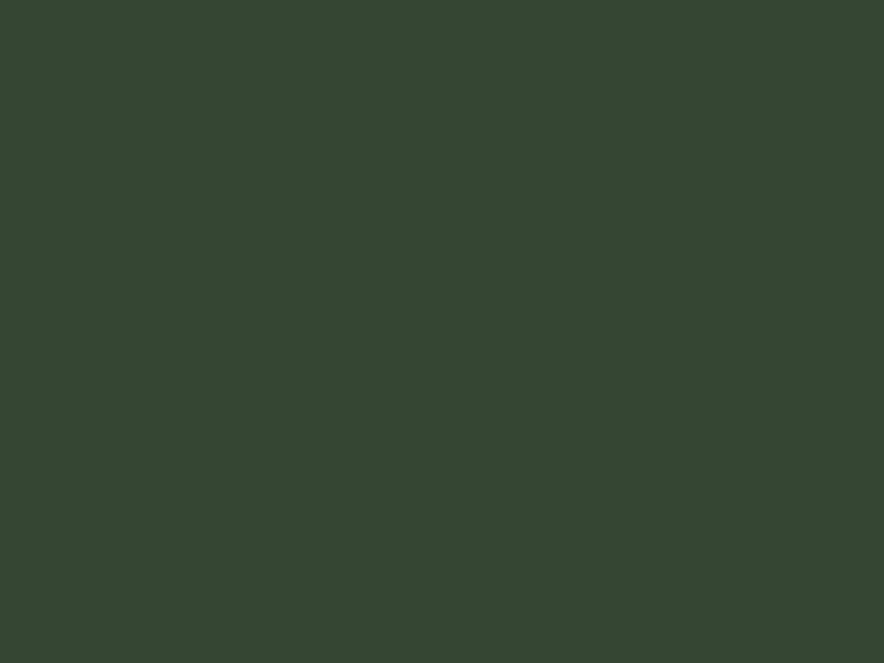 Хромовый зеленый (RAL 6020)